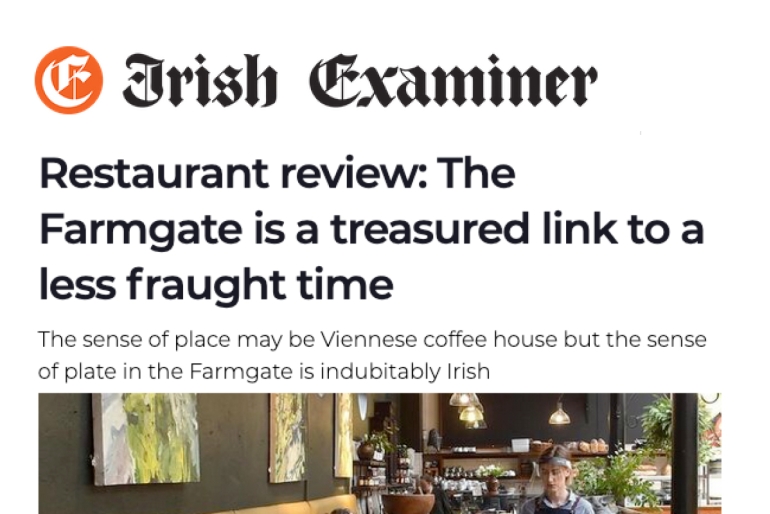 Irish Exam­iner review, August 2020 by Joe McNamee